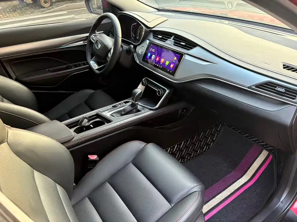 GEELY AUTOMOBILE BINRUI