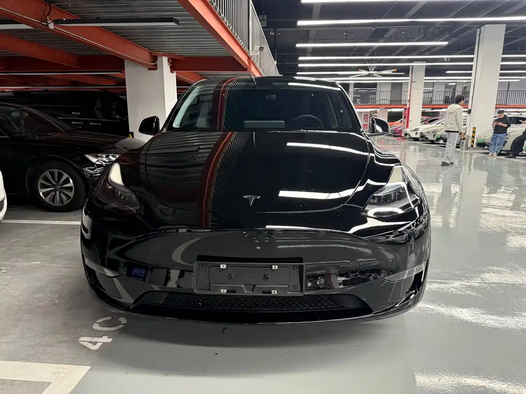Tesla Model Y — миниатюра 2