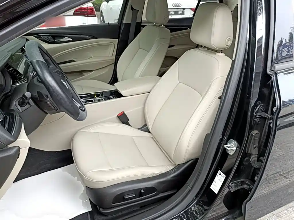 Buick Regal — миниатюра 15