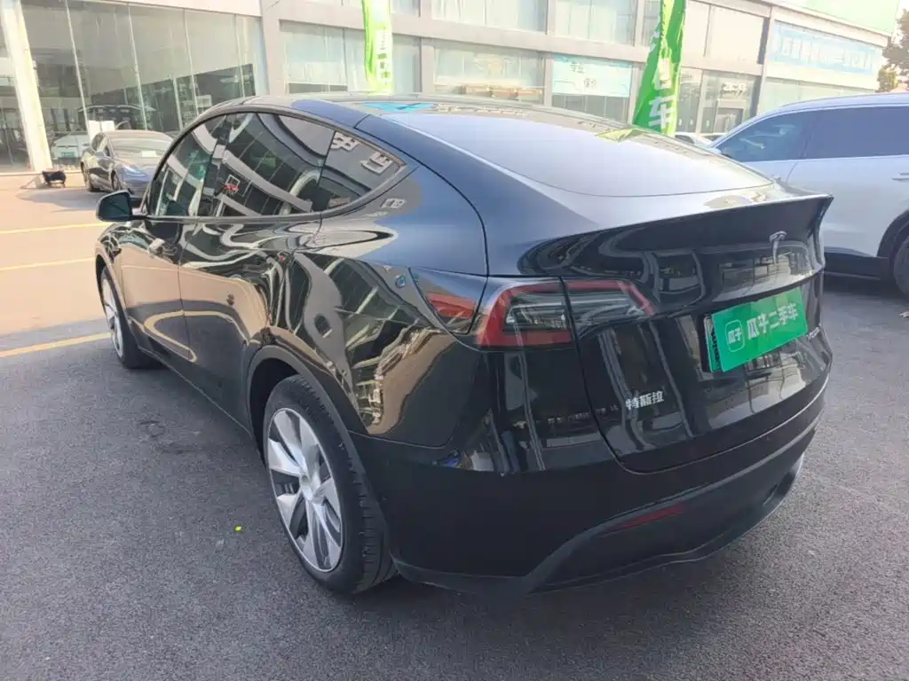 Tesla Model Y — миниатюра 5