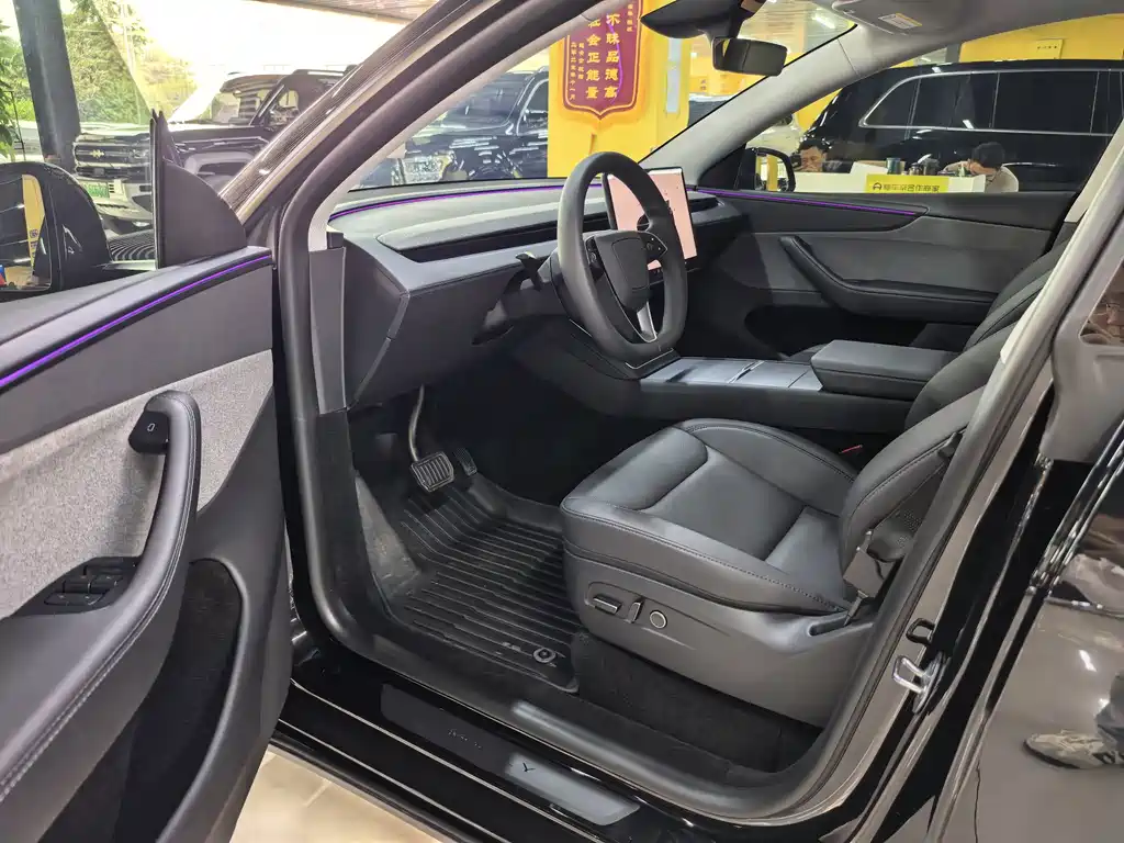 Tesla Model Y — миниатюра 4