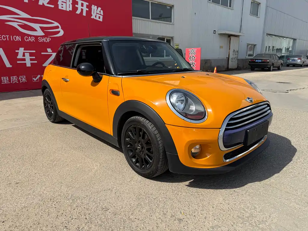 Mini Mini 2016