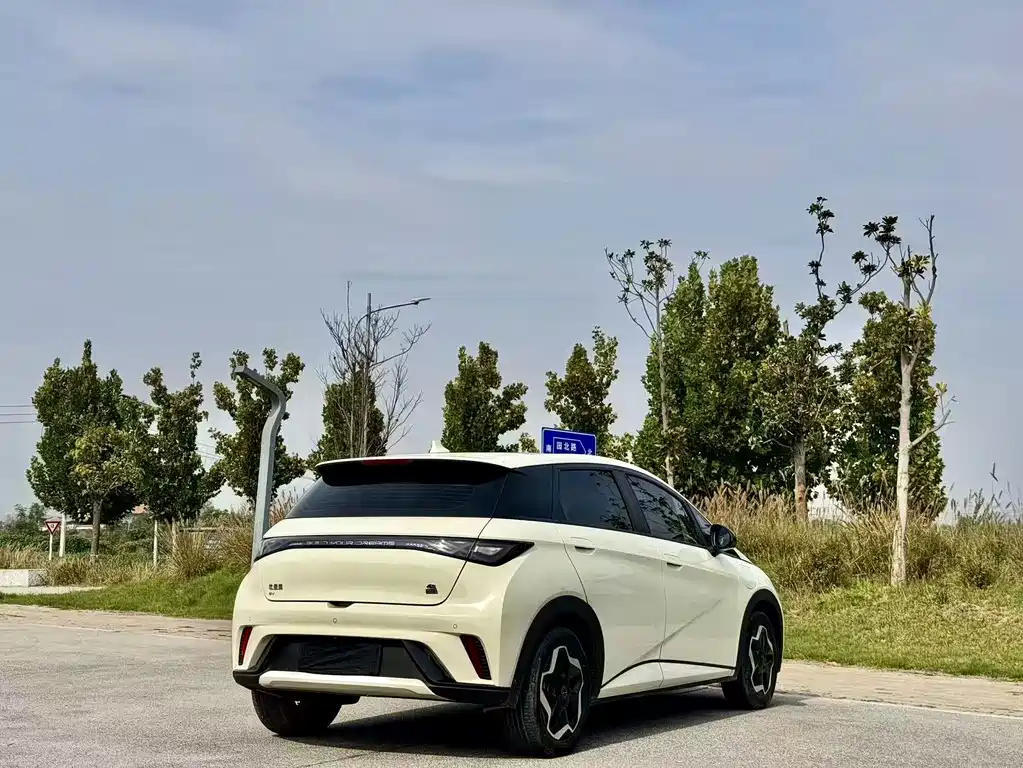 BYD Dolphin — миниатюра 7