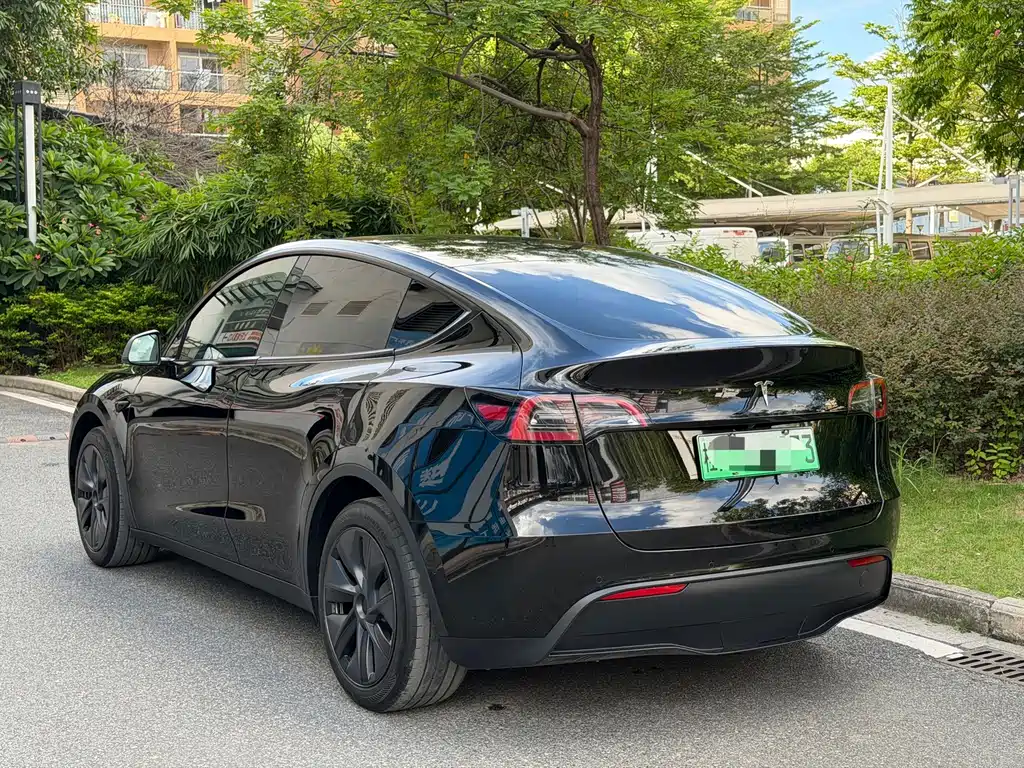 Tesla Model Y — миниатюра 4