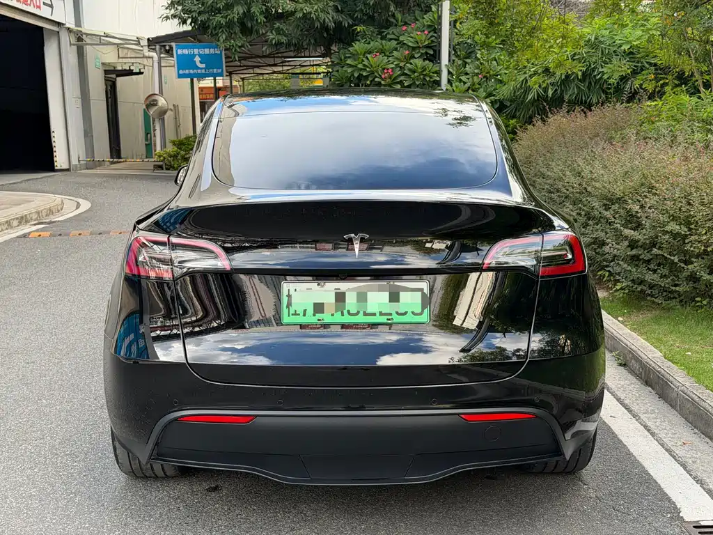 Tesla Model Y — миниатюра 5
