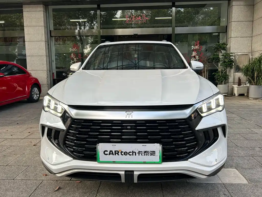 BYD Pro New Energy — миниатюра 2