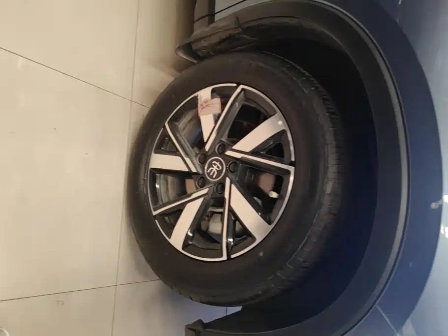 BYD Pro New Energy — миниатюра 6