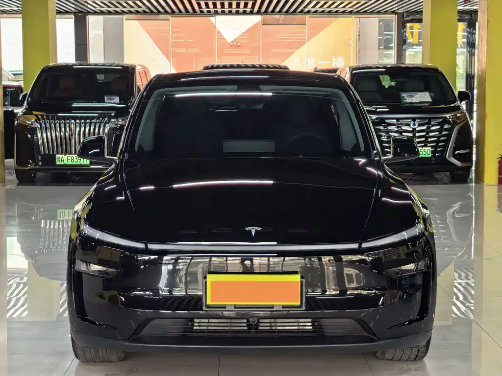 Tesla Model Y — миниатюра 2