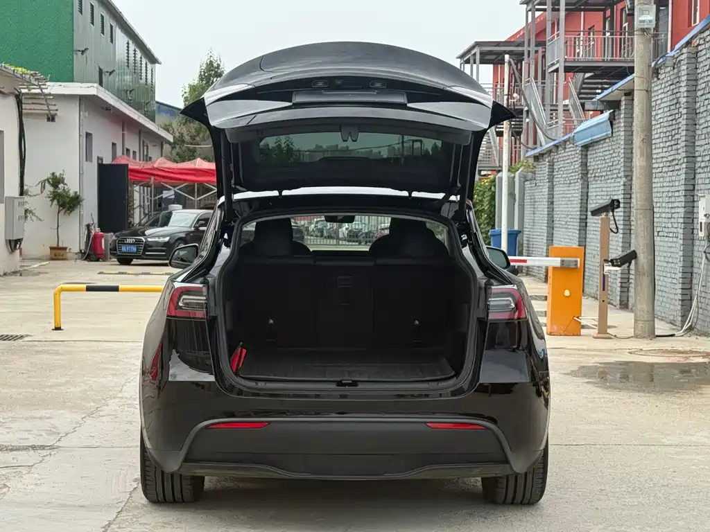 Tesla Model Y — миниатюра 9