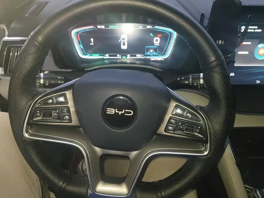 BYD PLUS New Energy — миниатюра 15