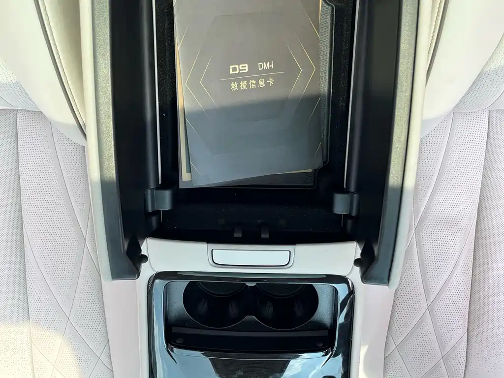 Denza Denza D9 — миниатюра 20