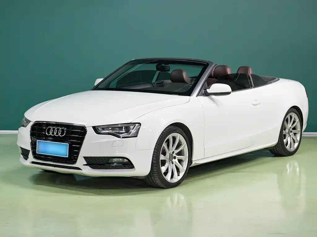 Audi A5 (Import) 2013