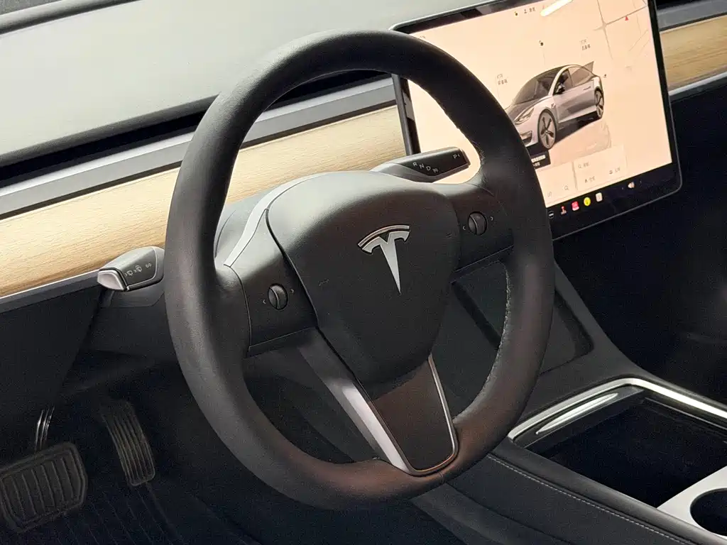 Tesla Model 3 — миниатюра 11