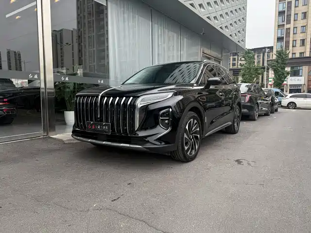 2024 Hongqi HS7