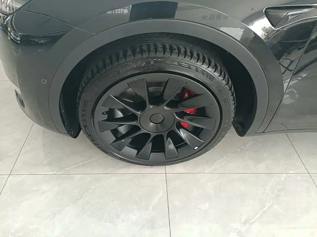 Tesla Model Y — миниатюра 23