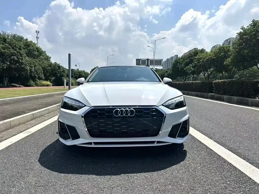 Audi A5 (Import) — миниатюра 2