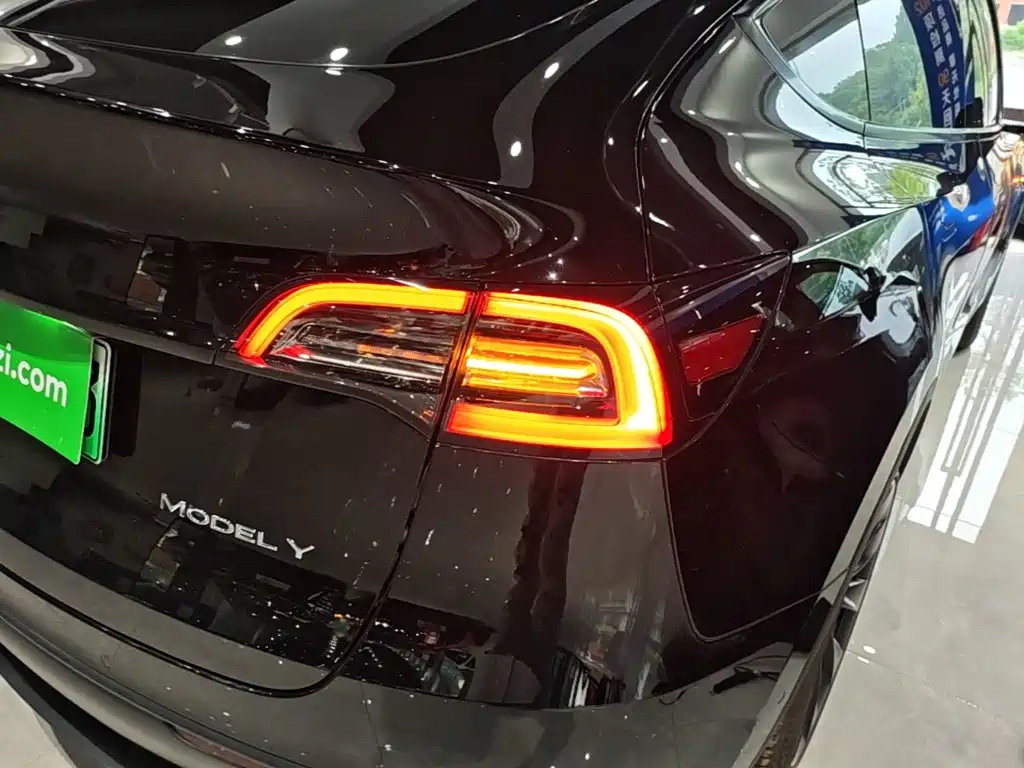 Tesla Model Y — миниатюра 8