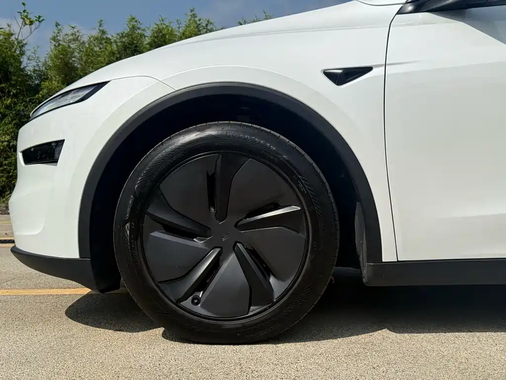 Tesla Model Y — миниатюра 11