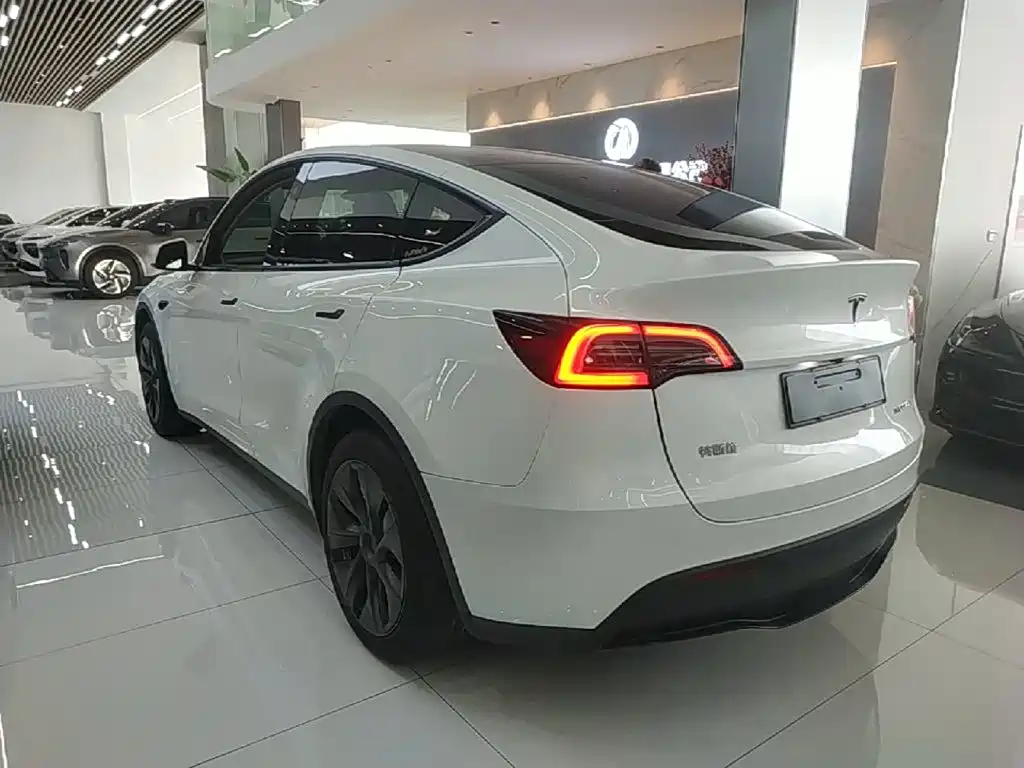 Tesla Model Y — миниатюра 5