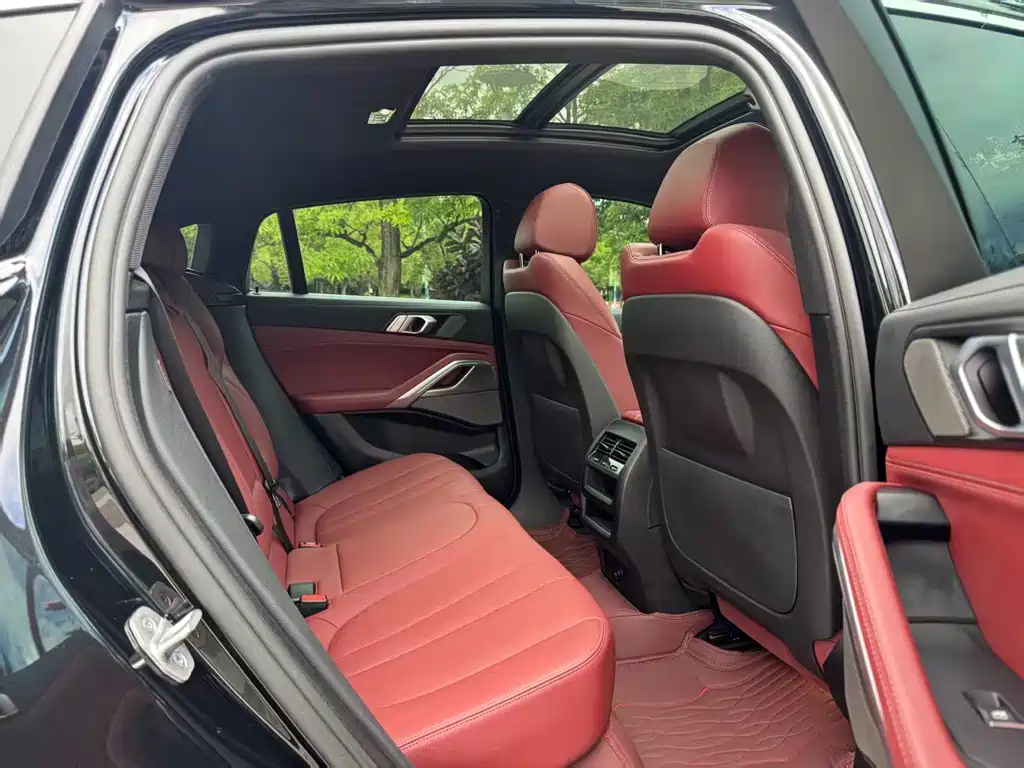 BMW X6 — миниатюра 7