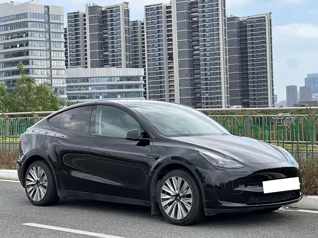 Tesla Model Y — миниатюра 3