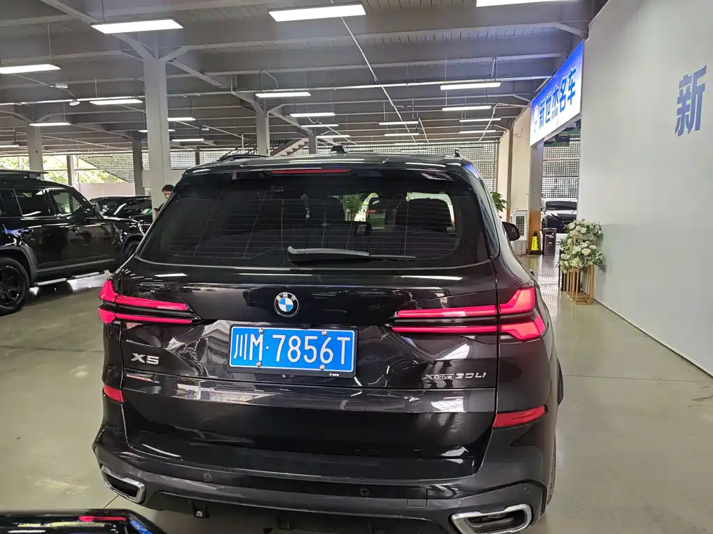 BMW X5 — миниатюра 9