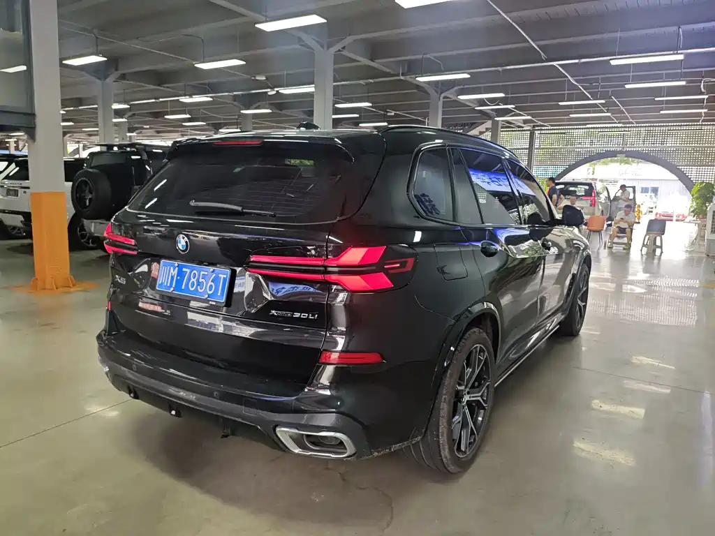 BMW X5 — миниатюра 8
