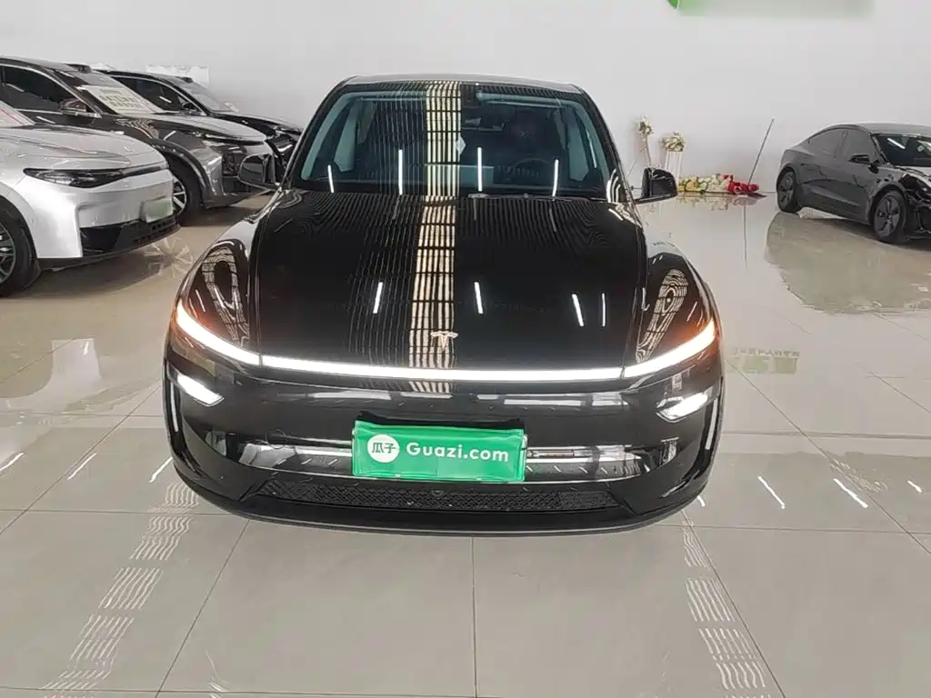 Tesla Model Y — миниатюра 3