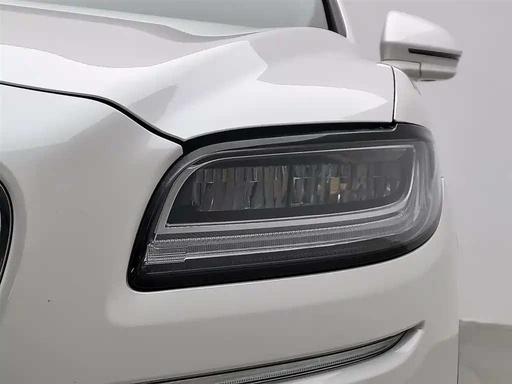 LINCOLN NAVIGATOR (IMPORT)