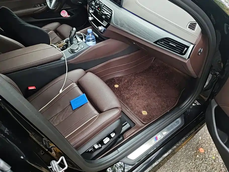 BMW 5 Series 5 2021 530Li Premium M Sport
