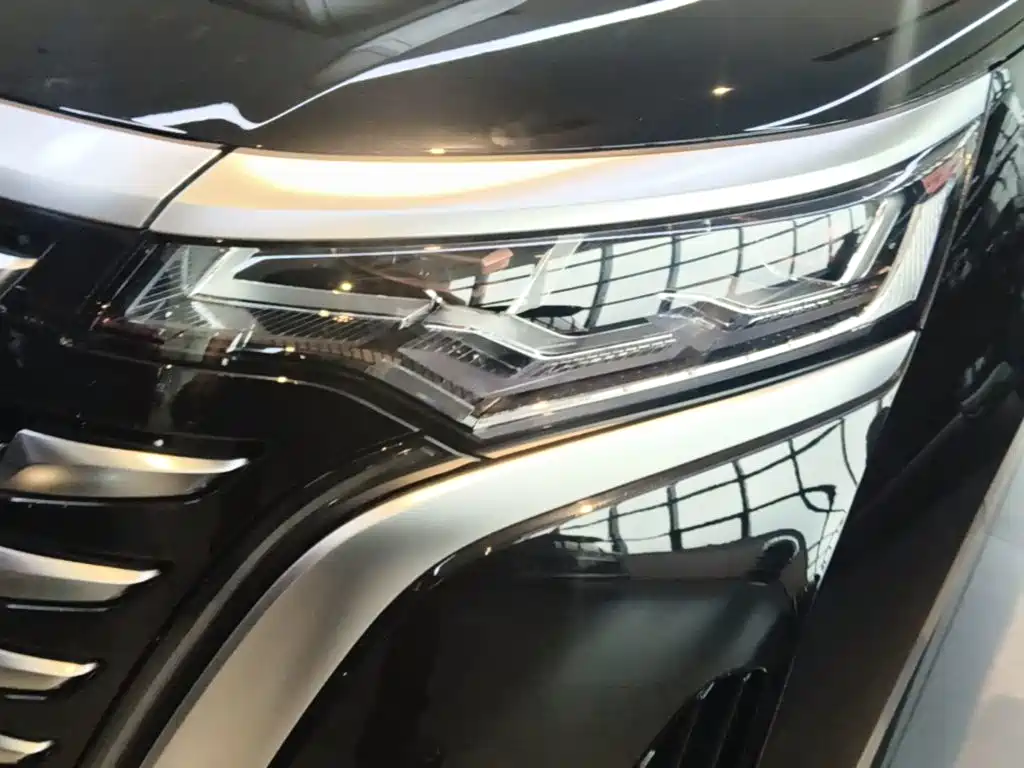 Denza Denza D9 — миниатюра 24