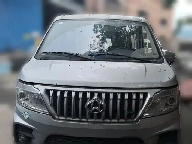 2024 Changan Ruixing