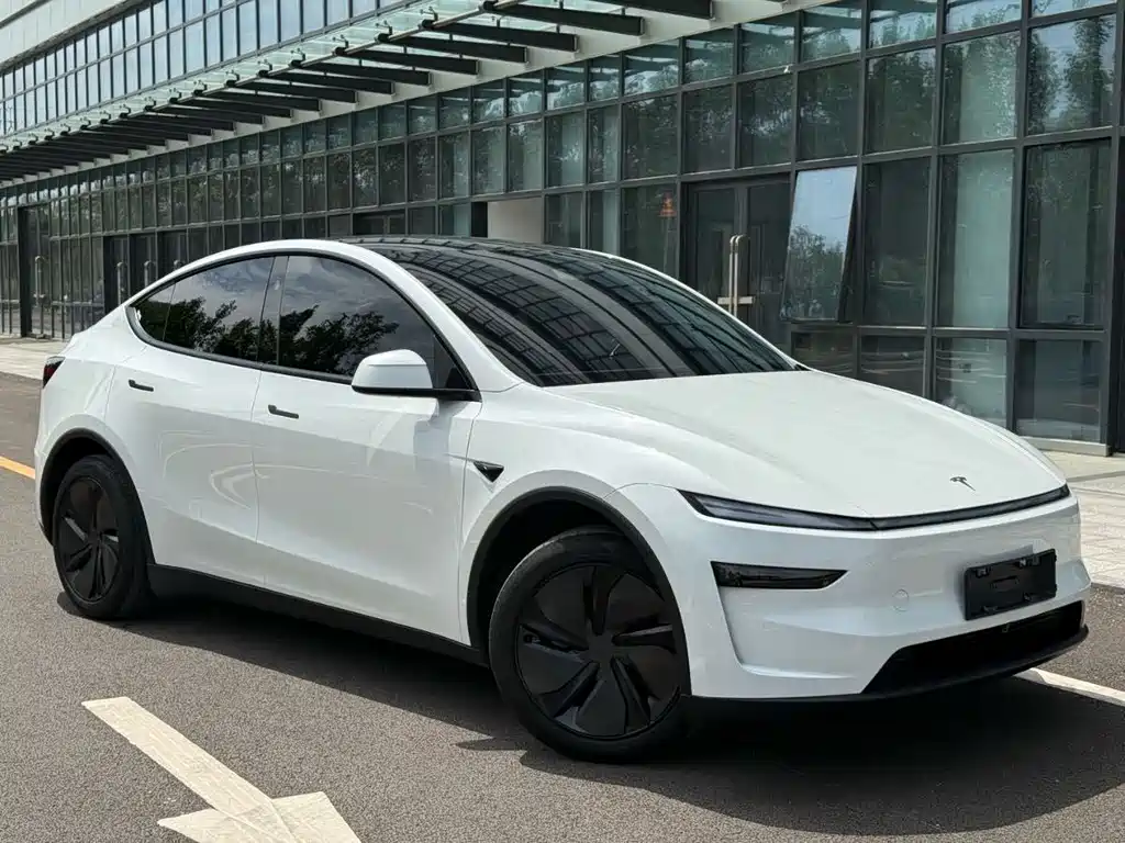 Tesla Model Y — миниатюра 3