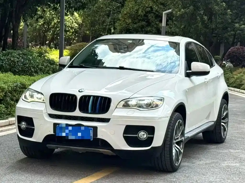 BMW X6 2013 xDrive35i