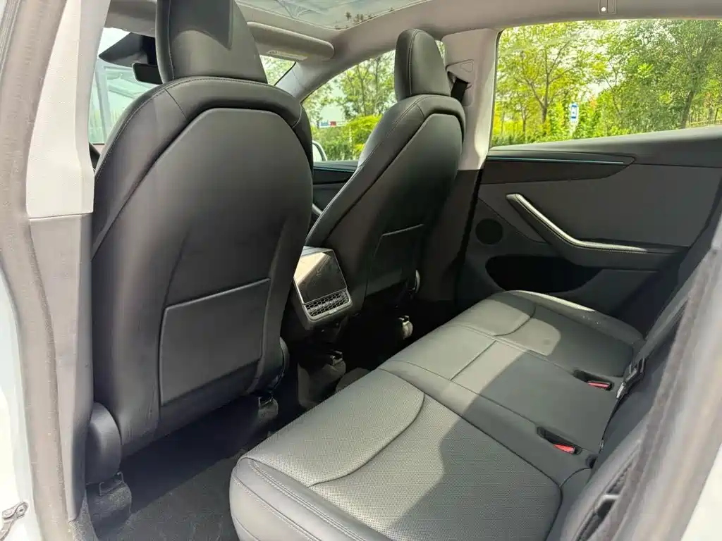 Tesla Model Y — миниатюра 11