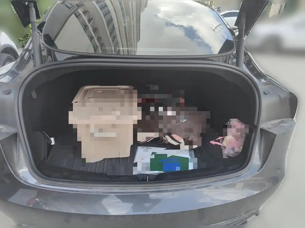 Tesla Model 3 — миниатюра 15