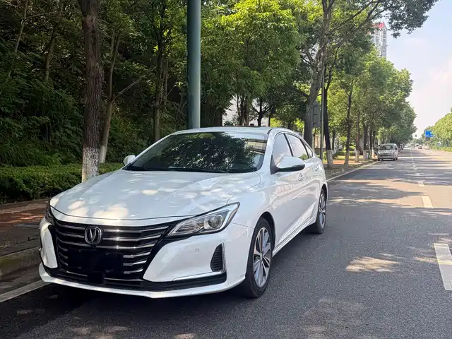 2020 Changan Raeton