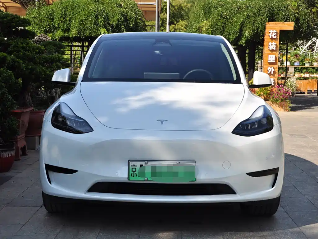 Tesla Model Y — миниатюра 2