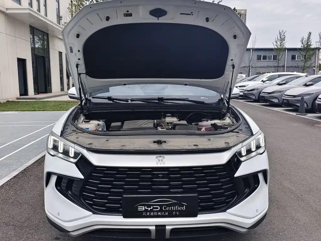 BYD Pro New Energy — миниатюра 2
