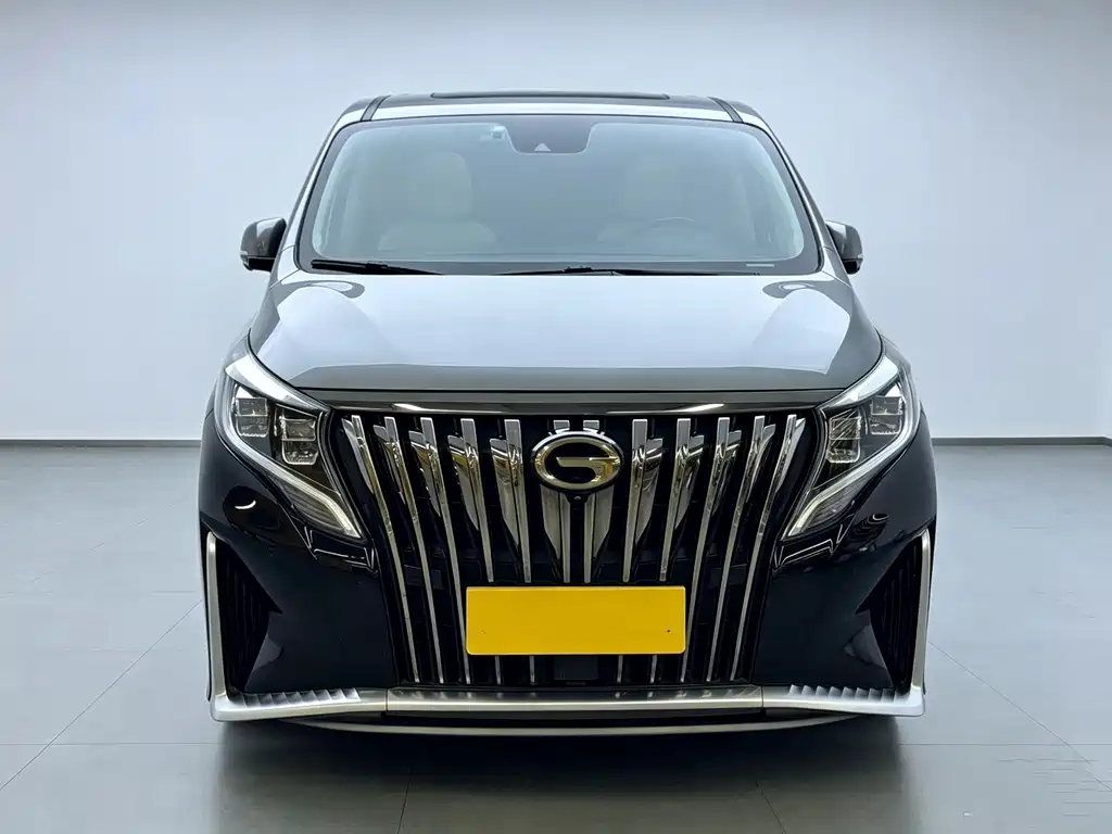 GAC Motor Trumpchi M8 — миниатюра 2