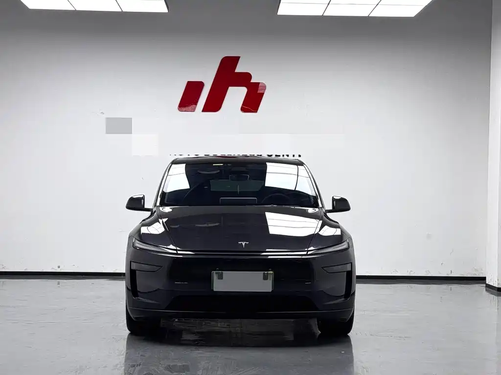 Tesla Model Y — миниатюра 3