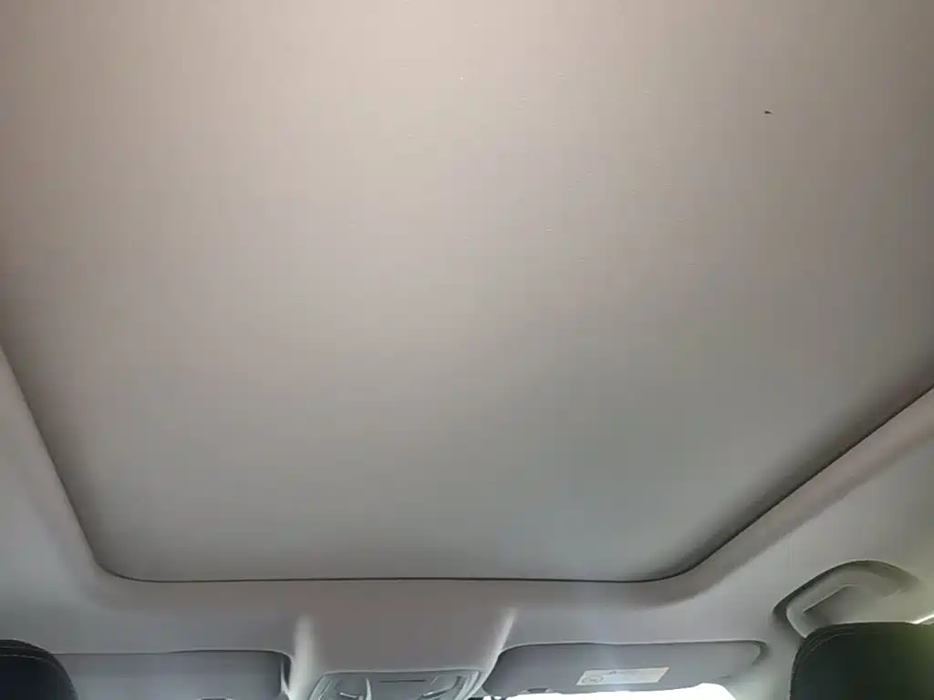 Haval Big Dog — миниатюра 18