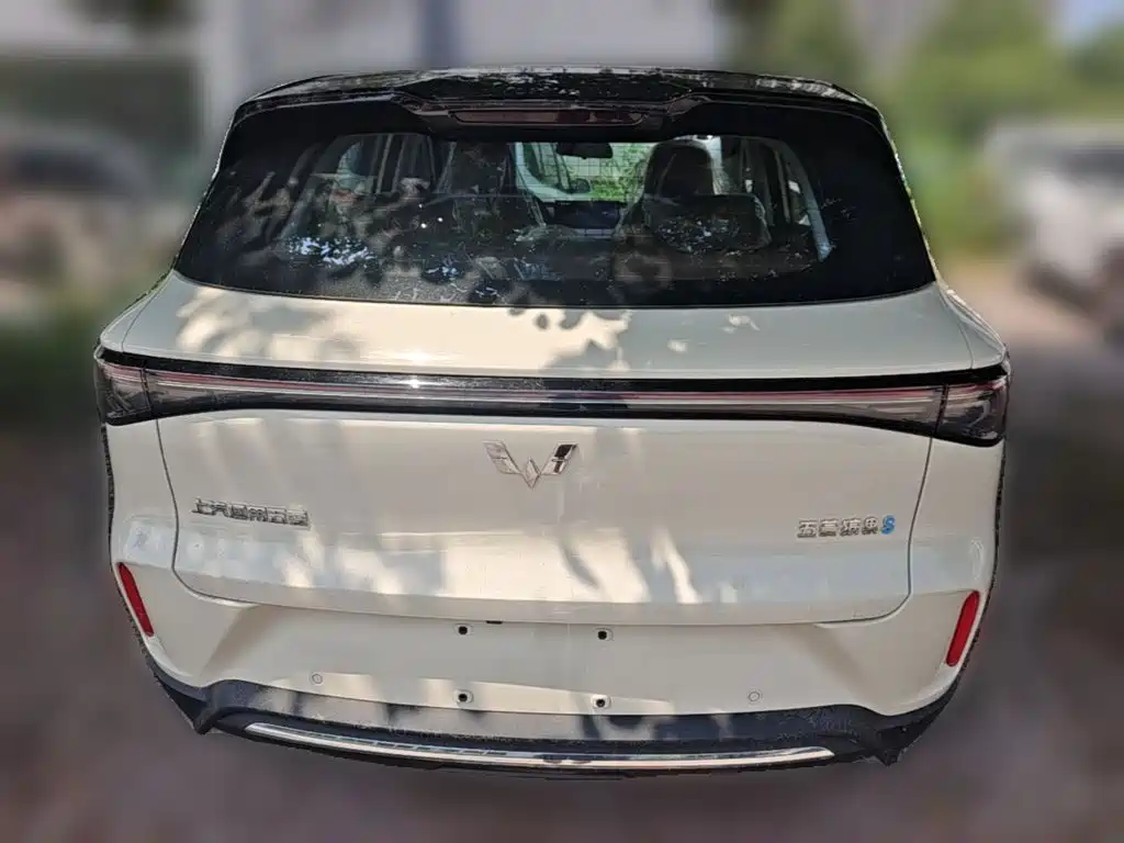 Wuling BinguoS S 2025 325km Flagship