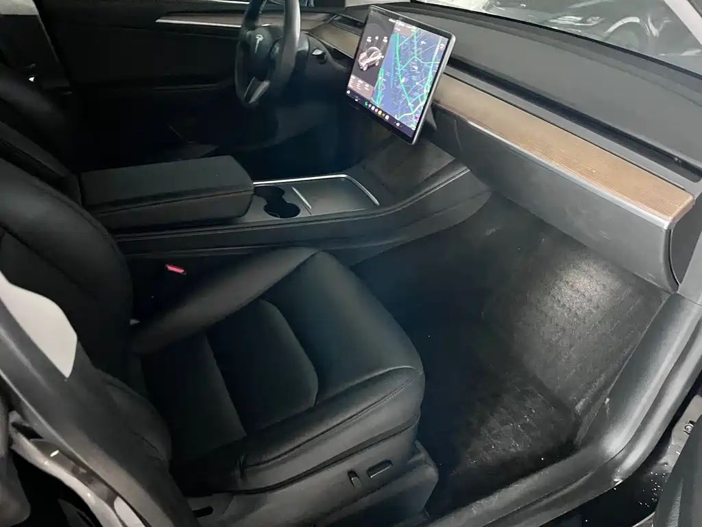 Tesla Model Y — миниатюра 10