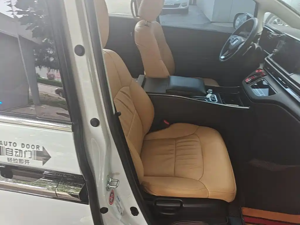 Honda Elysion — миниатюра 25