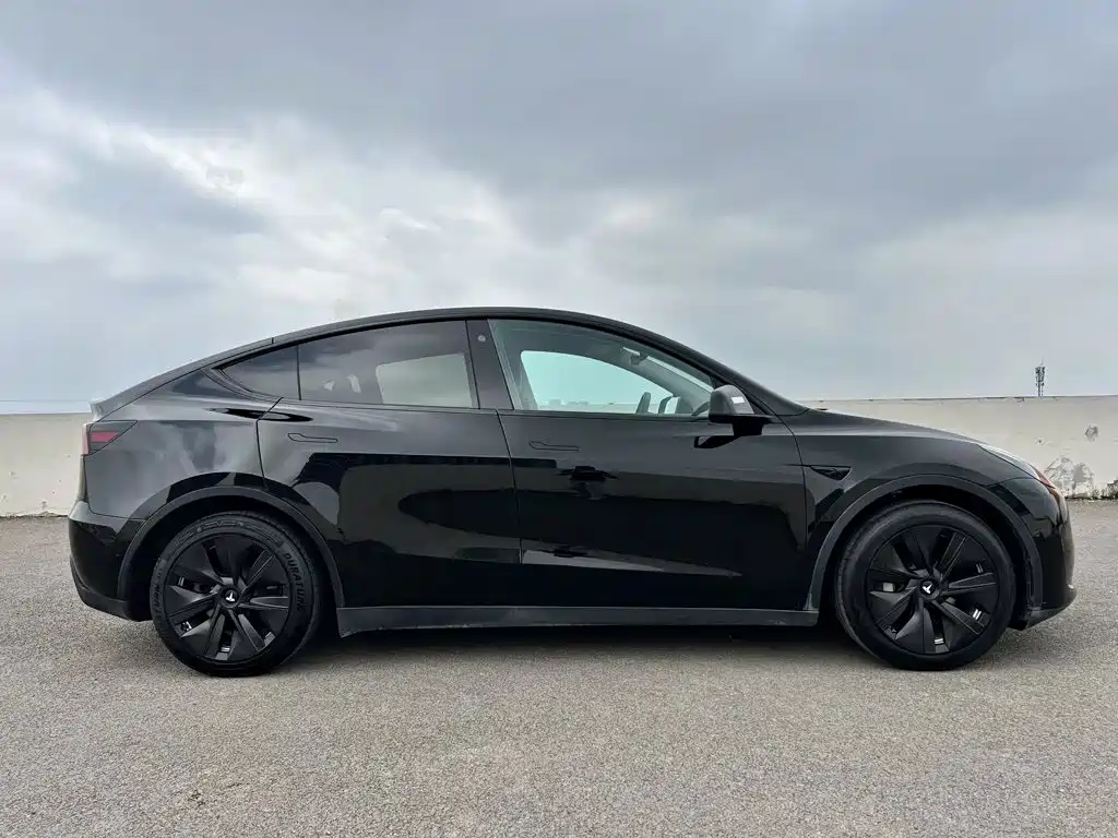 Tesla Model Y — миниатюра 4