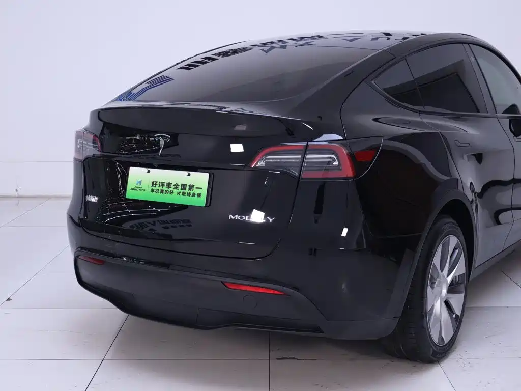 Tesla Model Y — миниатюра 8