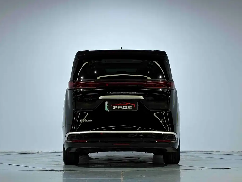 Denza Denza D9 — миниатюра 19