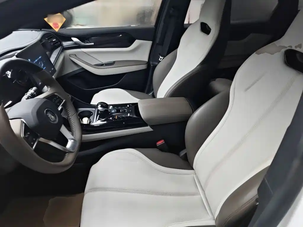 BYD Qin PLUS — миниатюра 15