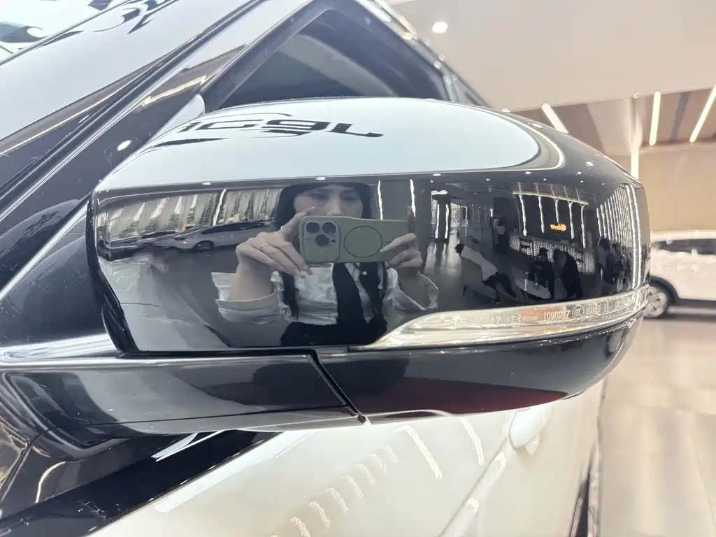 Land Rover Range Rover — миниатюра 33